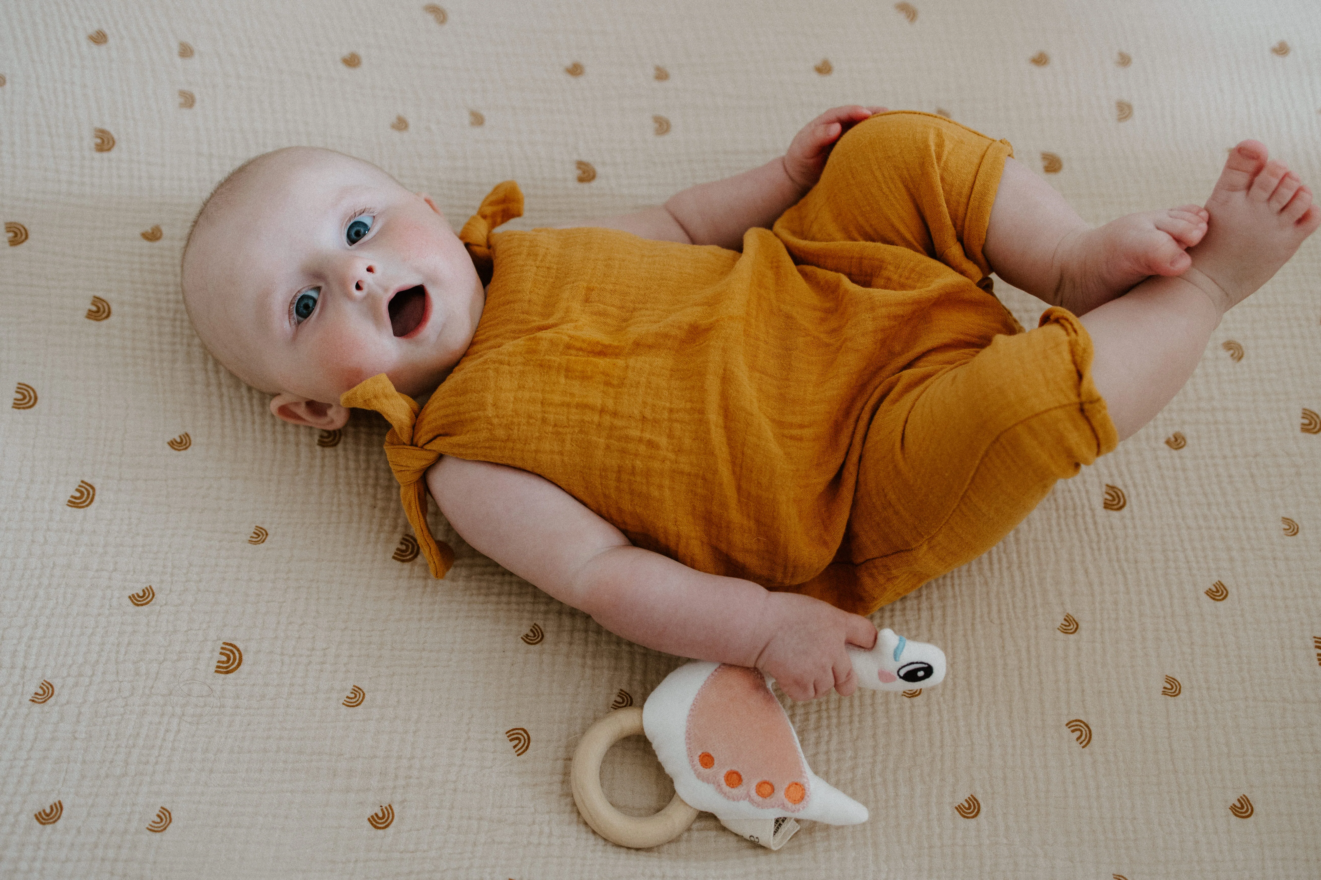 Swan Rattle - Image 3