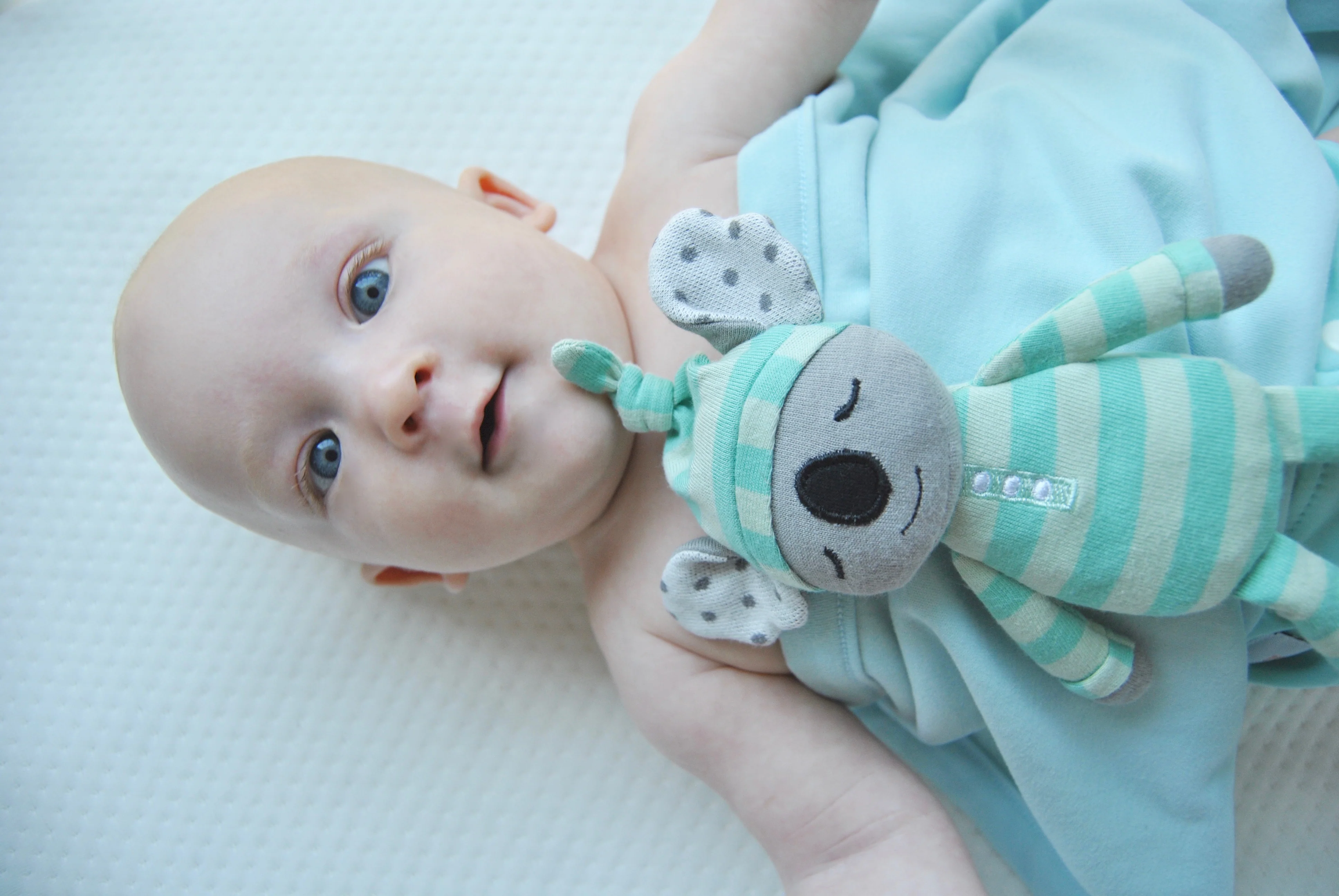 Kozy Koala - Plush - Image 4