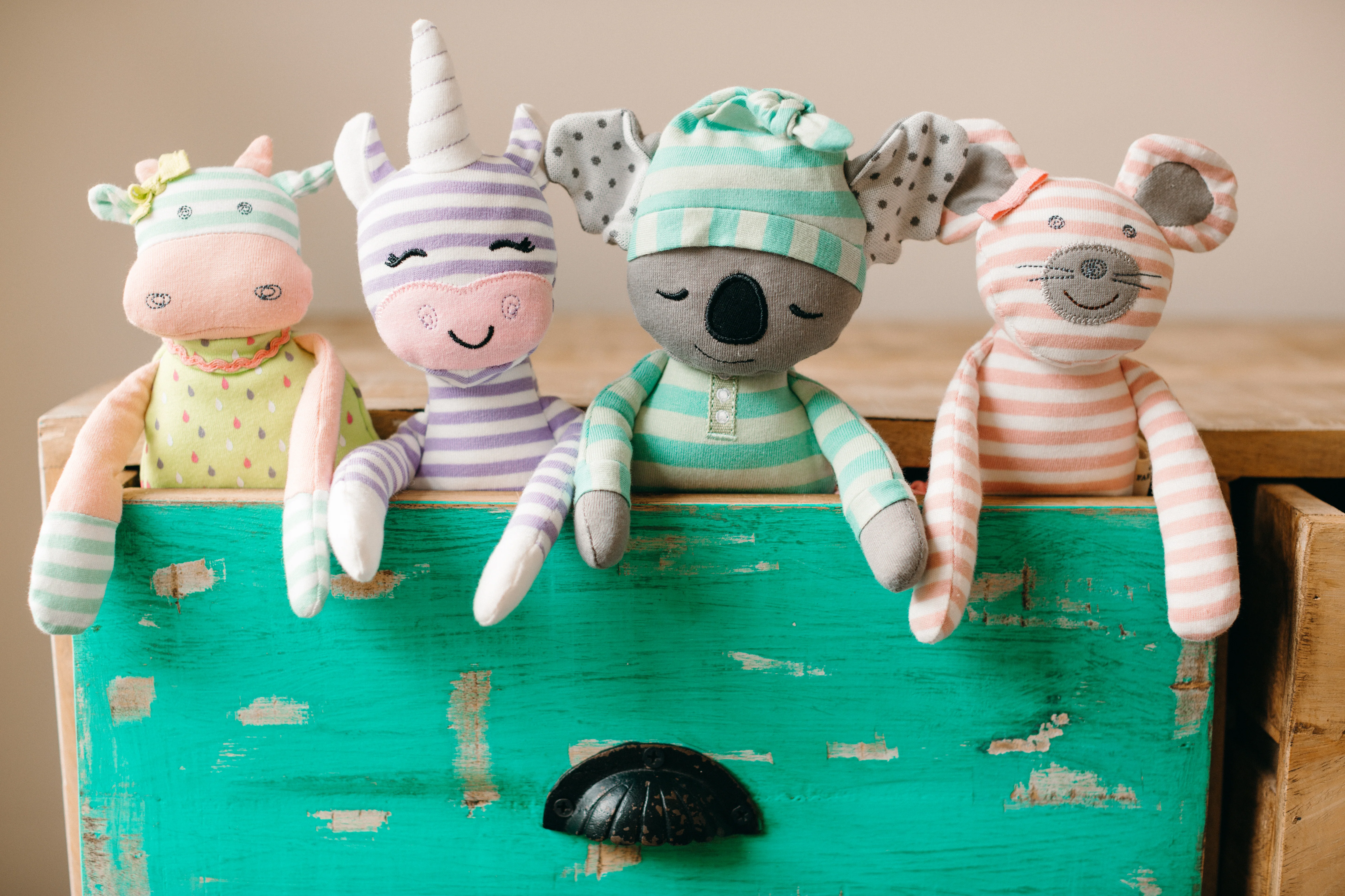 Kozy Koala - Plush - Image 6