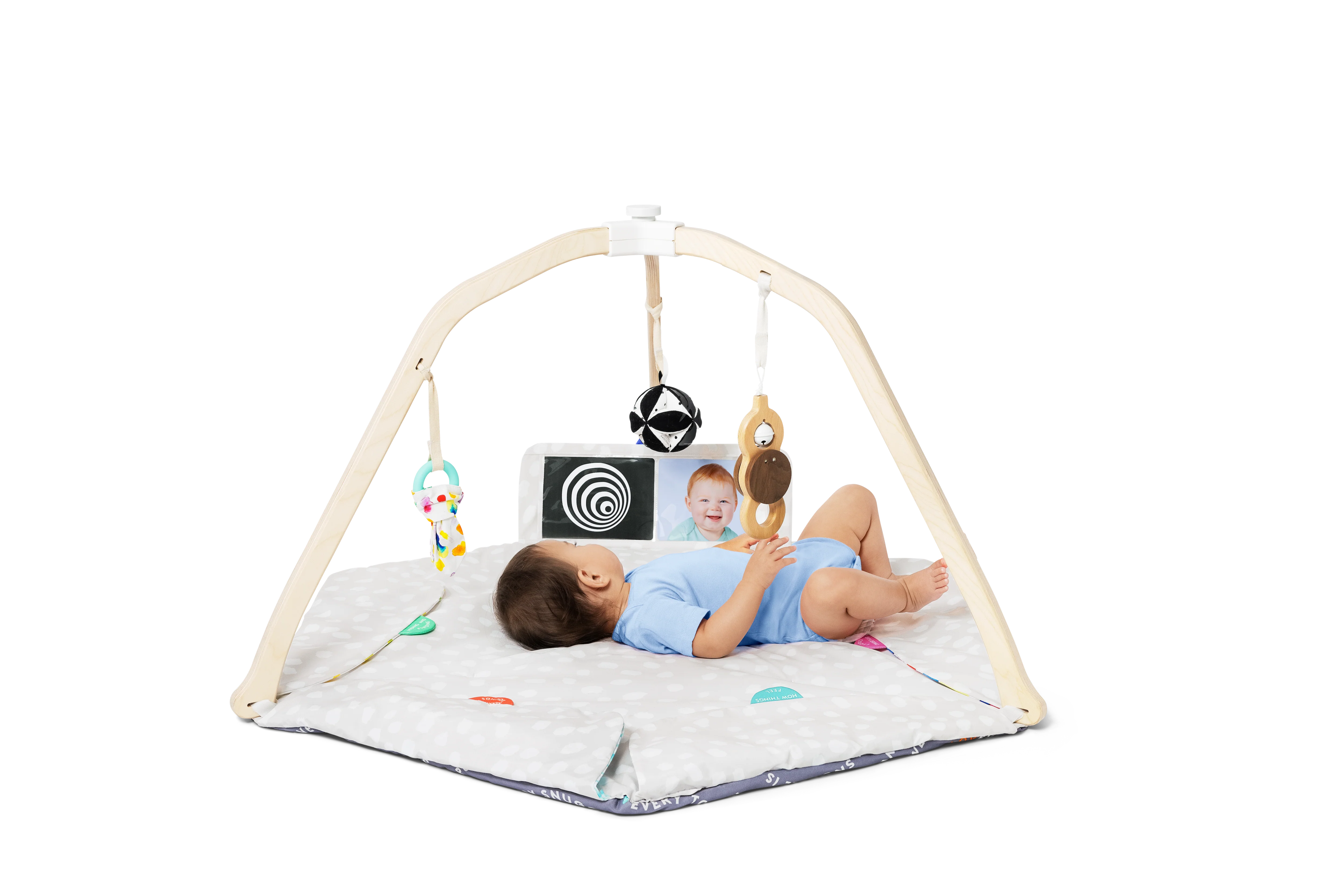 The Play Gym - Image 3